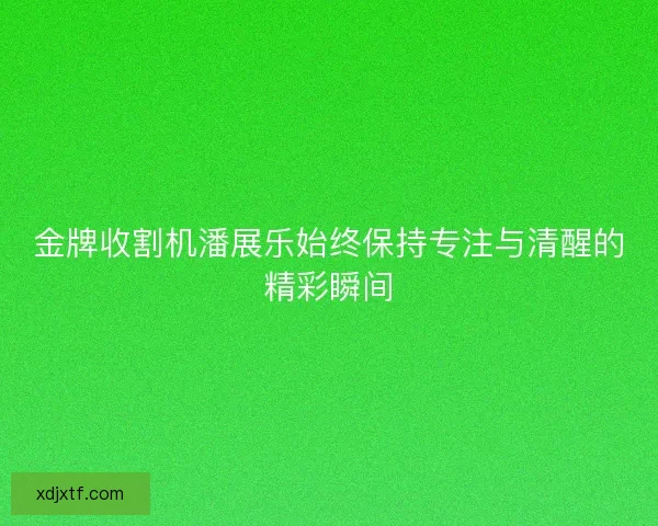 金牌收割机潘展乐始终保持专注与清醒的精彩瞬间