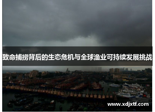 致命捕捞背后的生态危机与全球渔业可持续发展挑战